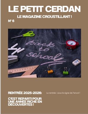 Capture d’écran_18-11-2025_113439_.jpeg